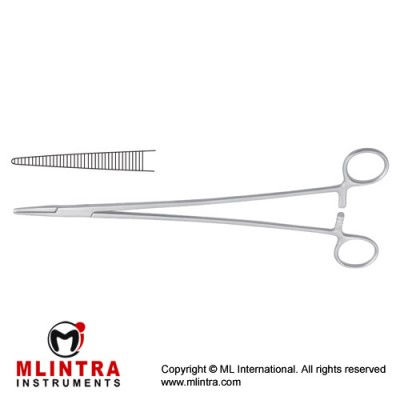 Bridge Haemostatic Forceps Curved Stainless Steel, 27.5 cm - 10 3/4"